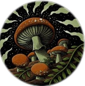 Meet your Posher, Genesis